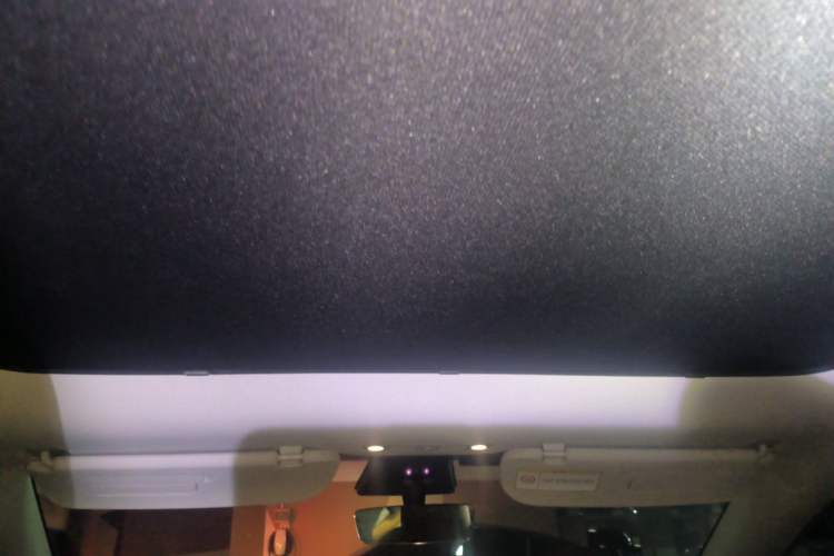 Used Tesla Model Y 2022 Rear-Wheel-Drive Version Headliner