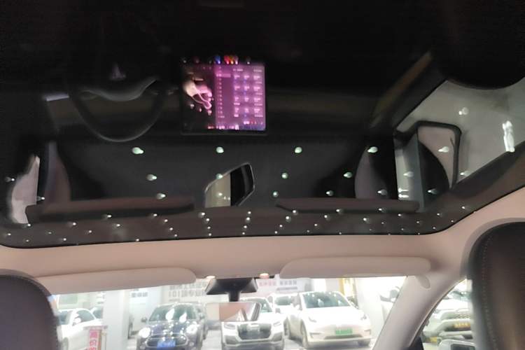 Used Tesla Model Y 2022 Revised Version Rear-Wheel Drive Headliner