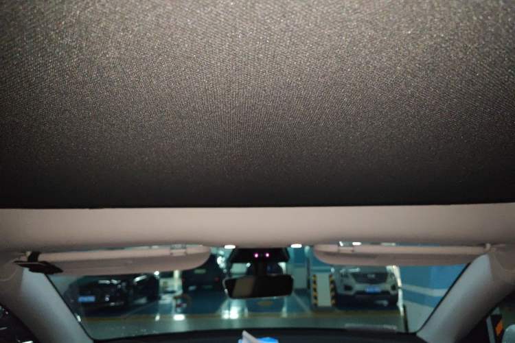 Used Tesla Model Y 2022 Revised Version Rear-Wheel Drive Headliner