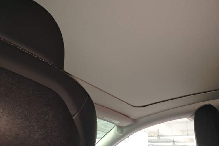 Used Tesla Model Y 2022 Performance High-Performance All-Wheel-Drive Version Headliner