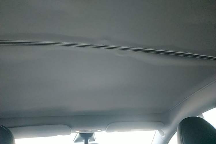 Used Tesla Model Y 2022 Performance High-Performance All-Wheel-Drive Version Headliner