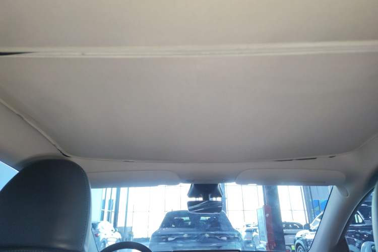 Used Tesla Model Y 2022 Revised Version Rear-Wheel Drive Headliner