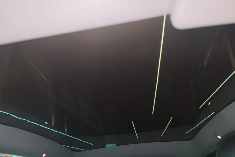 Used Tesla Model Y 2022 Long-Range All-Wheel-Drive Version Headliner