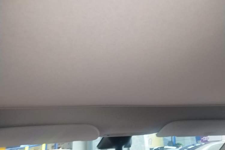 Used Tesla Model Y 2022 Performance High-Performance All-Wheel-Drive Version Headliner