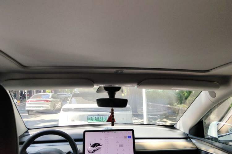 Used Tesla Model Y 2022 Long-Range All-Wheel-Drive Version Headliner