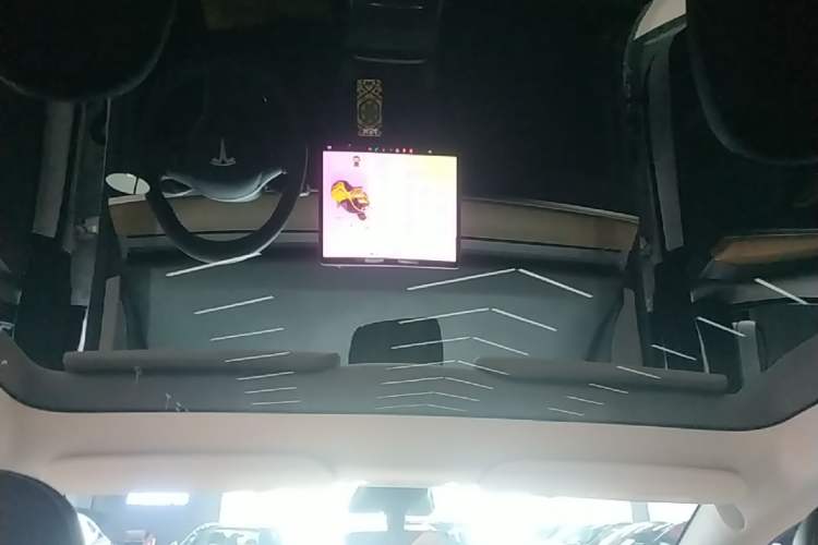 Used Tesla Model Y 2022 Long-Range All-Wheel-Drive Version Headliner