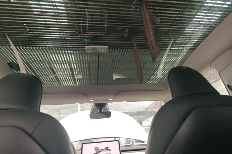 Used Tesla Model Y 2022 Revised Version Rear-Wheel Drive Headliner