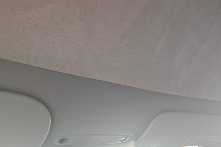Used Tesla Model Y 2022 Long-Range All-Wheel-Drive Version Headliner