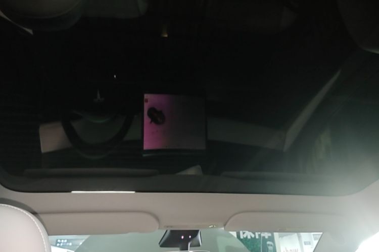 Used Tesla Model Y 2022 Revised Version Rear-Wheel Drive Headliner