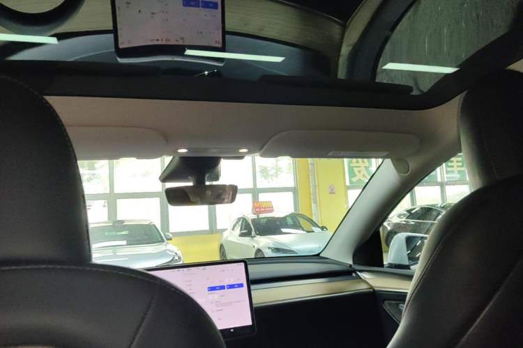 Used Tesla Model Y 2022 Long-Range All-Wheel-Drive Version Headliner