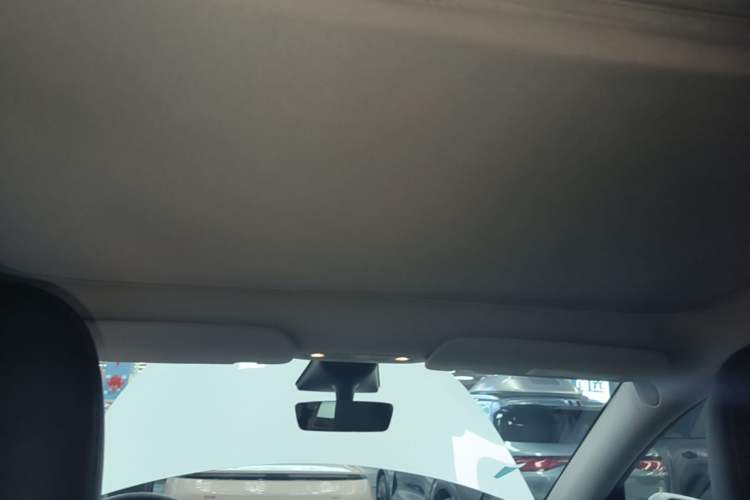Used Tesla Model Y 2022 Revised Version Rear-Wheel Drive Headliner