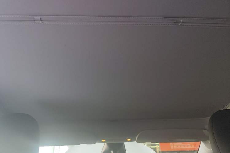 Used Tesla Model Y 2022 Rear-Wheel-Drive Version Headliner