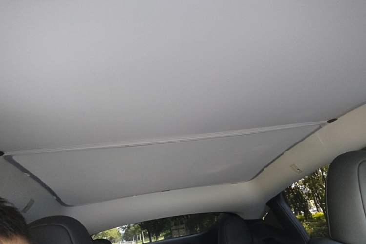 Used Tesla Model Y 2022 Rear-Wheel-Drive Version Headliner