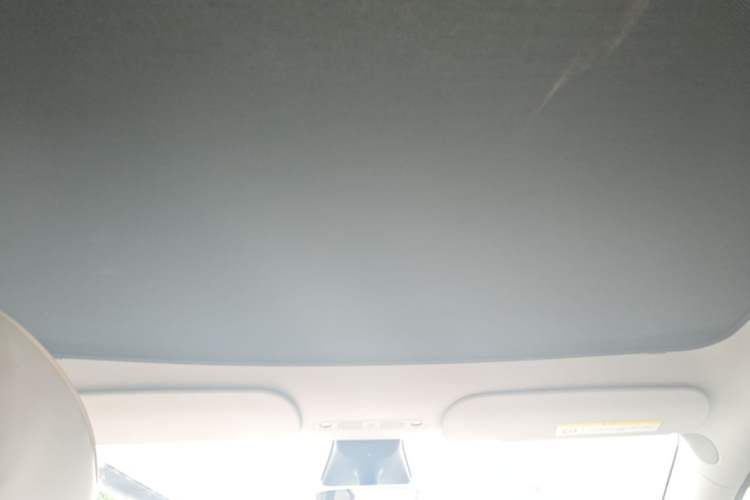 Used Tesla Model Y 2022 Revised Version Rear-Wheel Drive Headliner