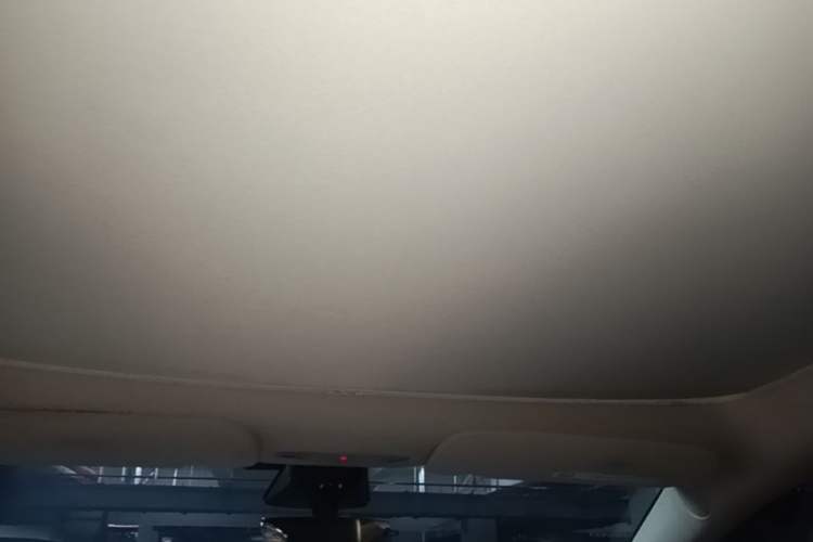 Used Tesla Model Y 2022 Rear-Wheel-Drive Version Headliner