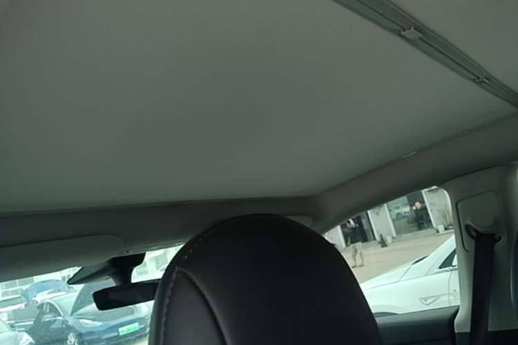 Used Tesla Model Y 2022 Long-Range All-Wheel-Drive Version Headliner