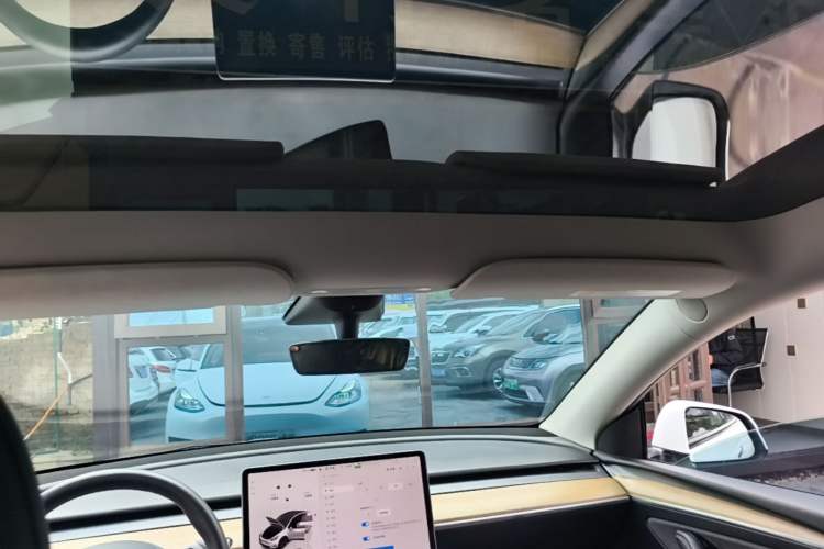 Used Tesla Model Y 2022 Rear-Wheel-Drive Version Headliner
