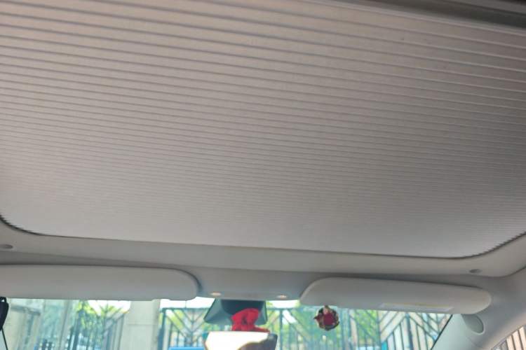 Used Tesla Model Y 2022 Long-Range All-Wheel-Drive Version Headliner