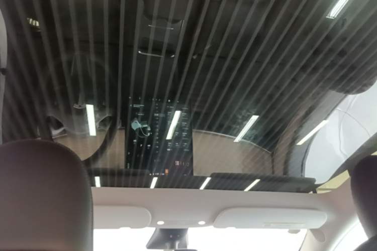 Used Tesla Model Y 2022 Rear-Wheel-Drive Version Headliner