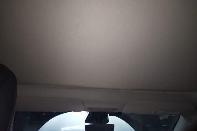 Used Tesla Model Y 2022 Long-Range All-Wheel-Drive Version Headliner