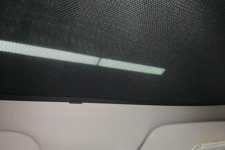 Used Tesla Model Y 2022 Performance High-Performance All-Wheel-Drive Version Headliner