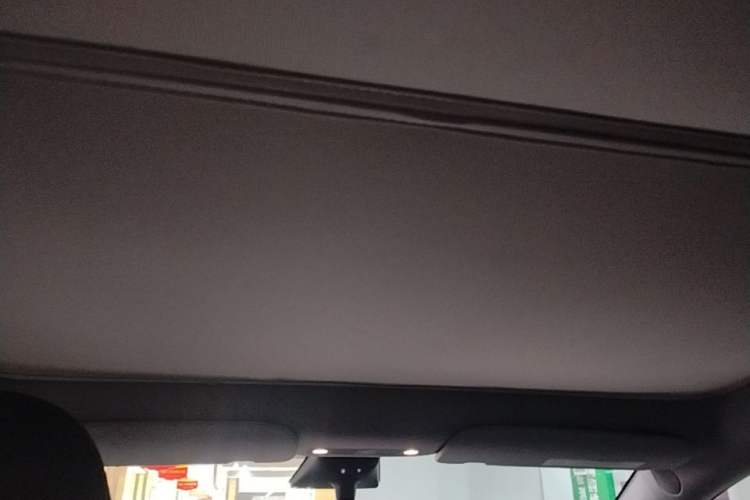 Used Tesla Model Y 2022 Rear-Wheel-Drive Version Headliner