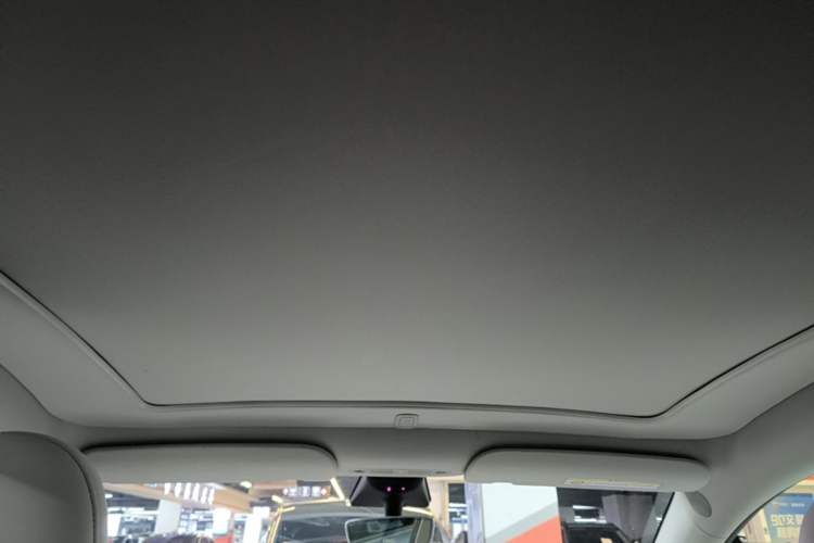 Used Tesla Model Y 2022 Performance High-Performance All-Wheel-Drive Version Headliner