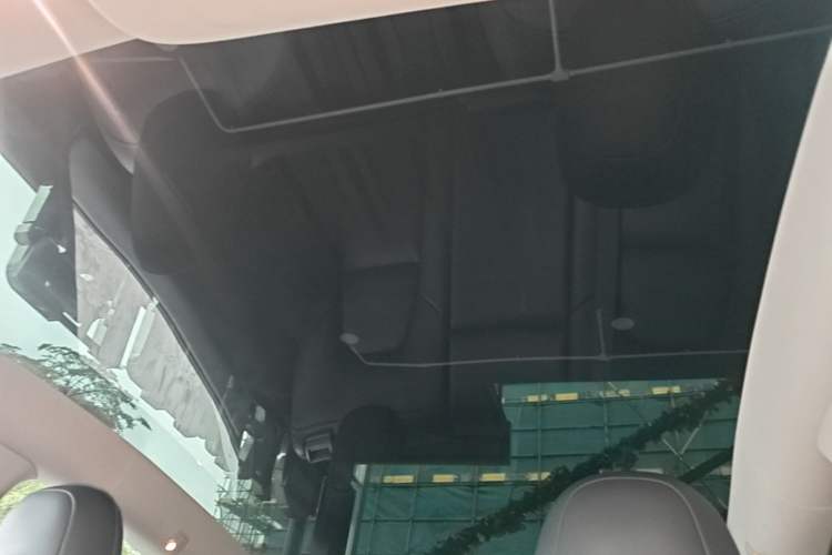 Used Tesla Model Y 2022 Long-Range All-Wheel-Drive Version Headliner