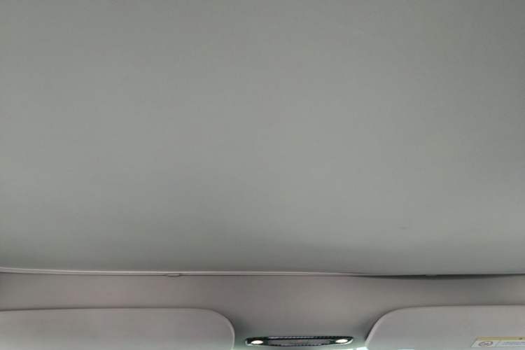 Used Tesla Model Y 2022 Long-Range All-Wheel-Drive Version Headliner