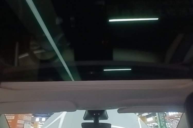 Used Tesla Model Y 2022 Performance High-Performance All-Wheel-Drive Version Headliner