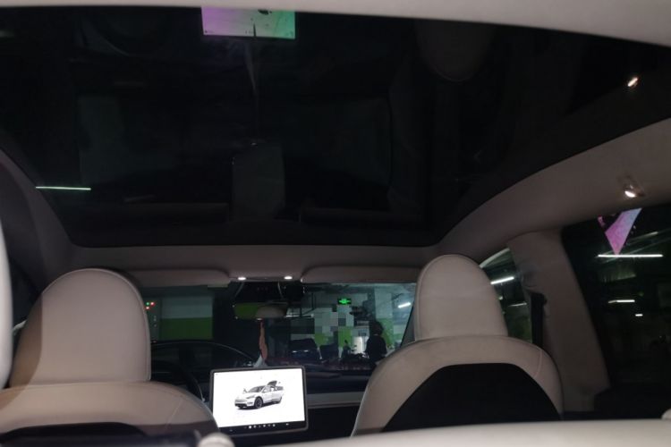 Used Tesla Model Y 2022 Long-Range All-Wheel-Drive Version Headliner