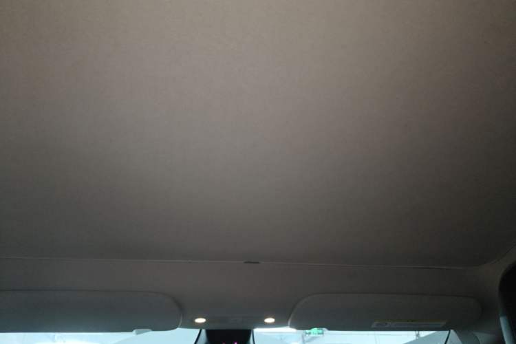 Used Tesla Model Y 2022 Rear-Wheel-Drive Version Headliner