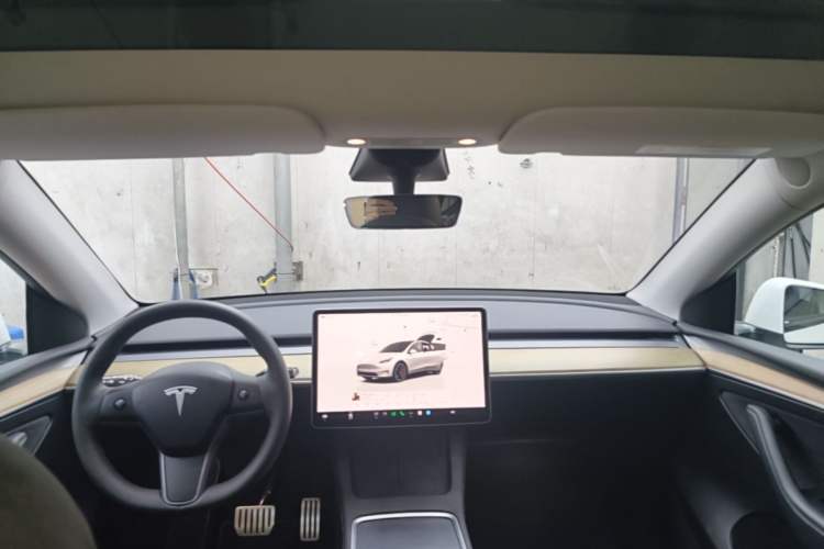 Used Tesla Model Y 2022 Performance High-Performance All-Wheel-Drive Version Headliner