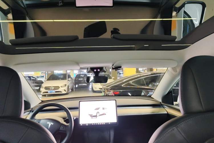 Used Tesla Model Y 2022 Long-Range All-Wheel-Drive Version Headliner