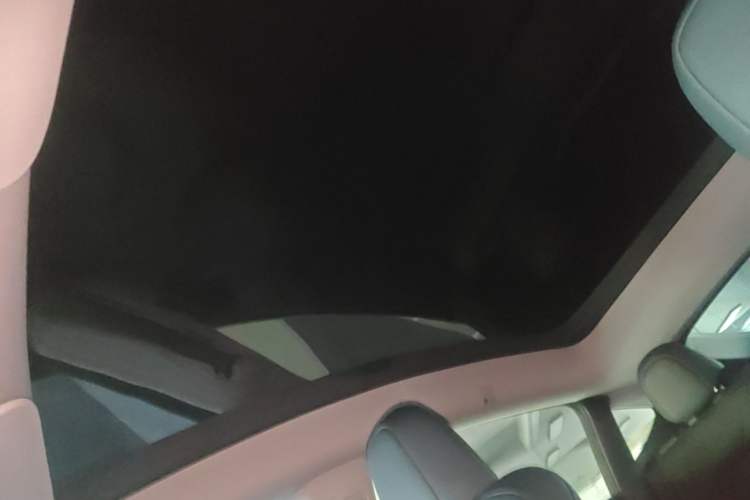 Used Tesla Model Y 2022 Rear-Wheel-Drive Version Headliner