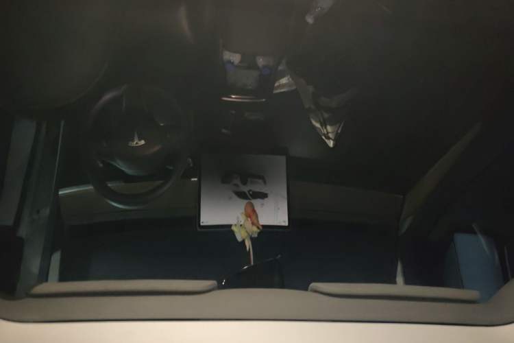 Used Tesla Model Y 2022 Rear-Wheel-Drive Version Headliner