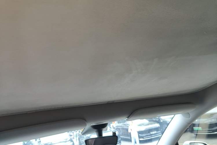 Used Tesla Model Y 2022 Revised Version Rear-Wheel Drive Headliner