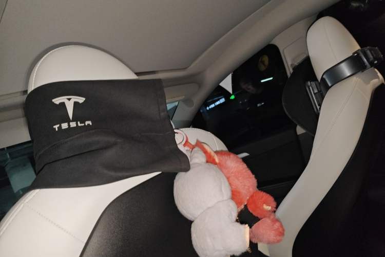Used Tesla Model Y 2022 Long-Range All-Wheel-Drive Version Headliner