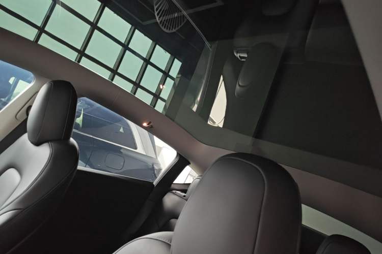 Used Tesla Model Y 2022 Long-Range All-Wheel-Drive Version Headliner