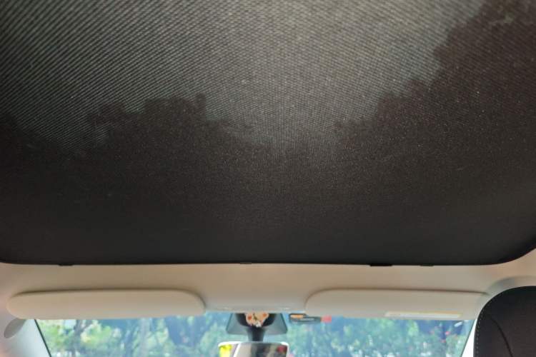 Used Tesla Model Y 2022 Long-Range All-Wheel-Drive Version Headliner
