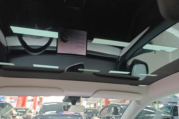 Used Tesla Model Y 2022 Long-Range All-Wheel-Drive Version Headliner