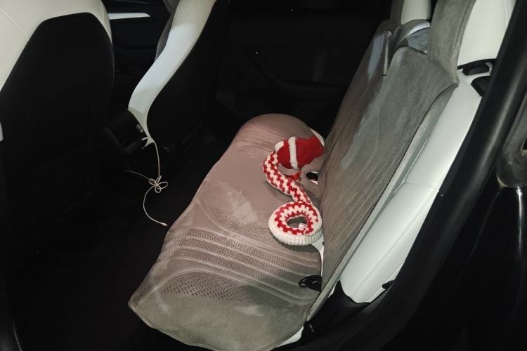 Used Tesla Model Y 2022 Rear-Wheel-Drive Version Interior 4