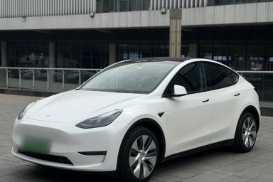 Used Tesla Model Y 2022 Revised Version Long-Range All-Wheel Drive