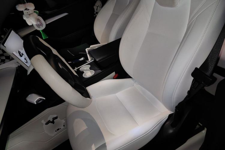 Used Tesla Model Y 2022 Revised Version Rear-Wheel Drive Left Front Seat