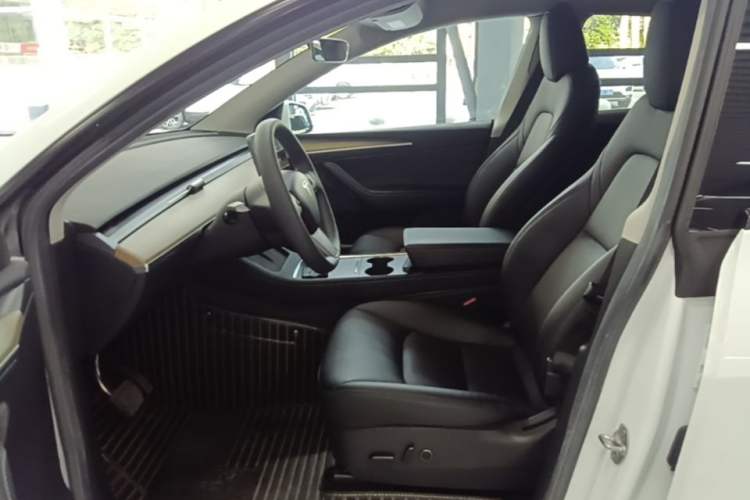 Used Tesla Model Y 2022 Rear-Wheel-Drive Version Left Front Seat