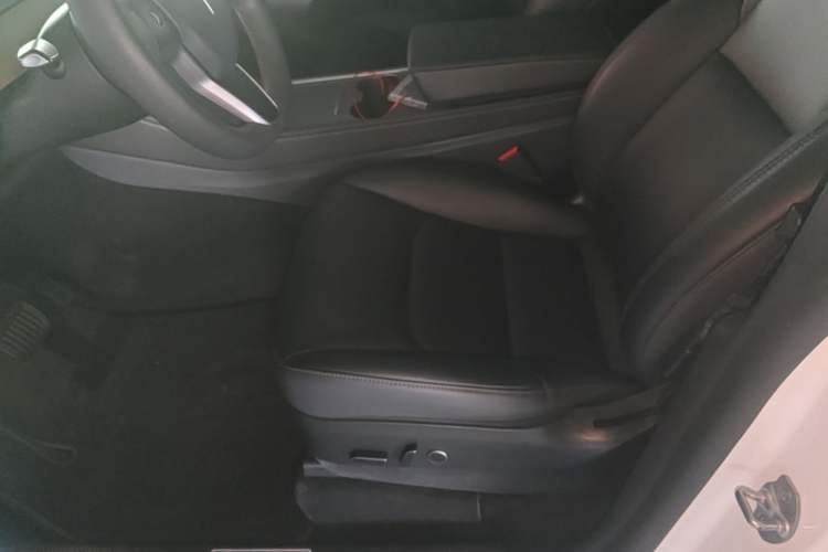 Used Tesla Model Y 2022 Rear-Wheel-Drive Version Left Front Seat
