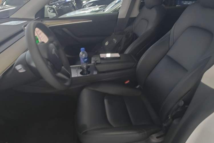 Used Tesla Model Y 2022 Revised Version Rear-Wheel Drive Left Front Seat