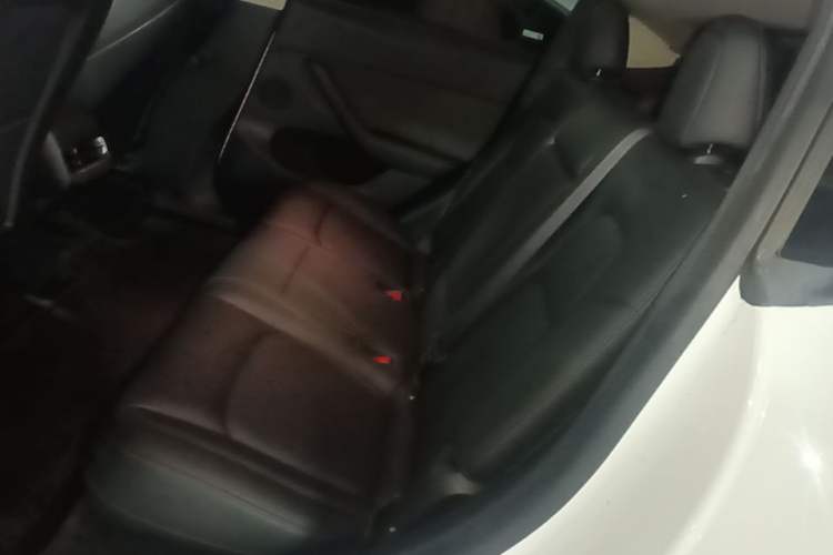 Used Tesla Model Y 2022 Performance High-Performance All-Wheel-Drive Version Left Rear Seat