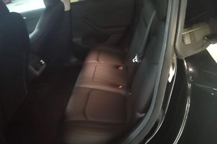 Used Tesla Model Y 2022 Long-Range All-Wheel-Drive Version Left Rear Seat