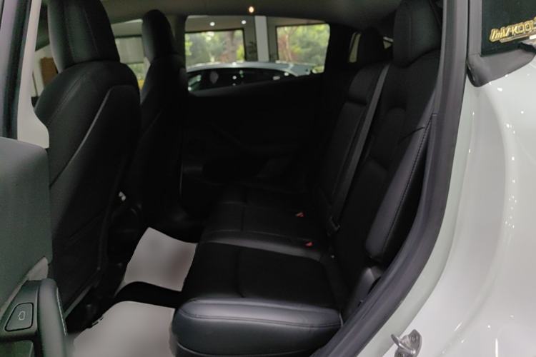 Used Tesla Model Y 2022 Long-Range All-Wheel-Drive Version Left Rear Seat
